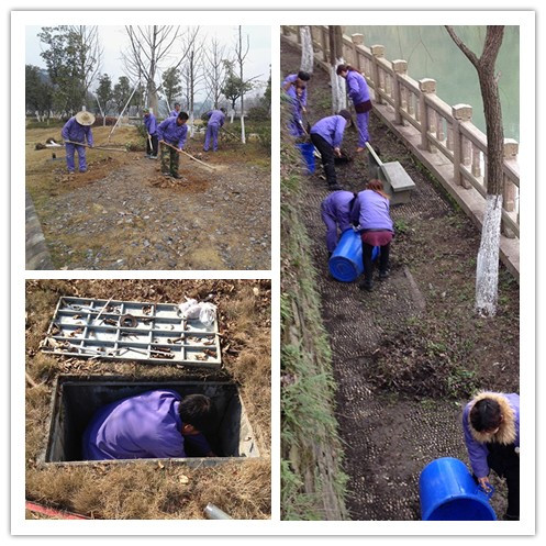 1487647653789633.jpg 拼图1.jpg